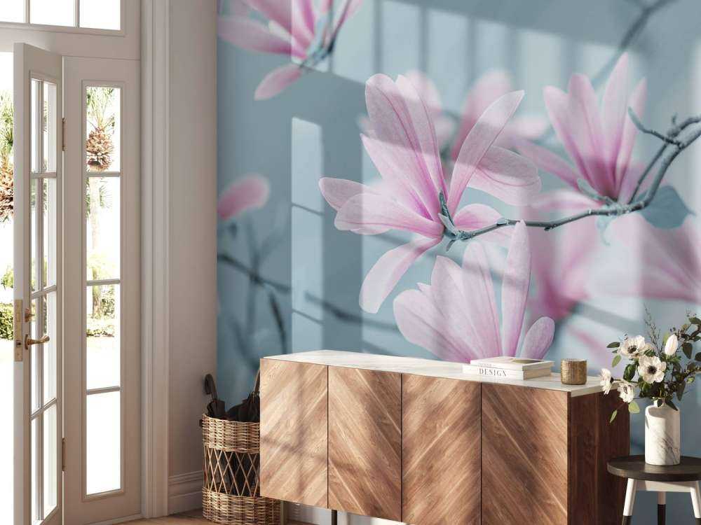 Fleurs de magnolia