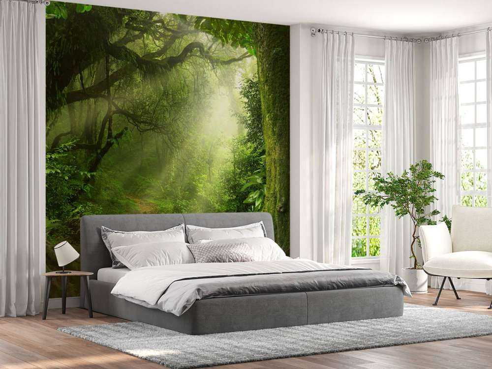Jungle avec des rayons de soleil