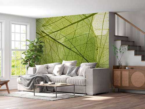 Feuilles vertes