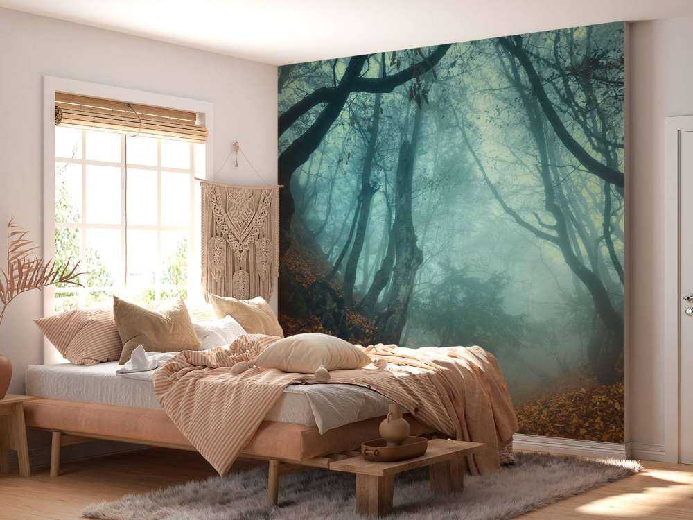 Forêt mystérieuse