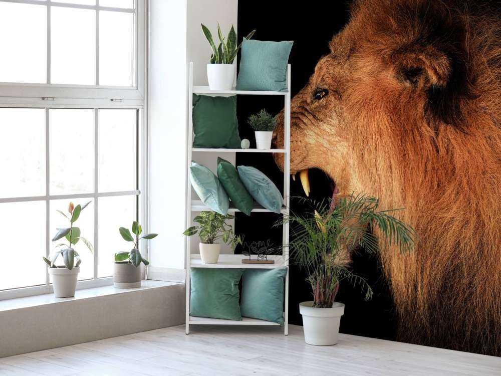 Lion rugissant