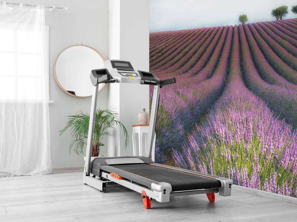 Velours de Lavender