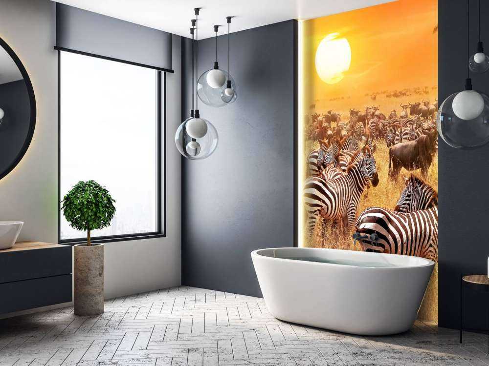Soleil de la savane avec des zèbres