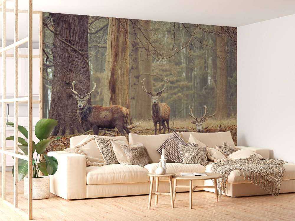 Cerfs sauvages