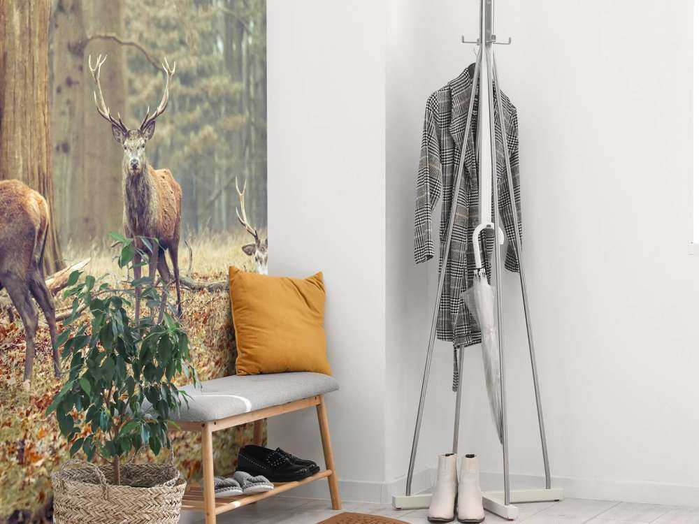 Cerfs sauvages