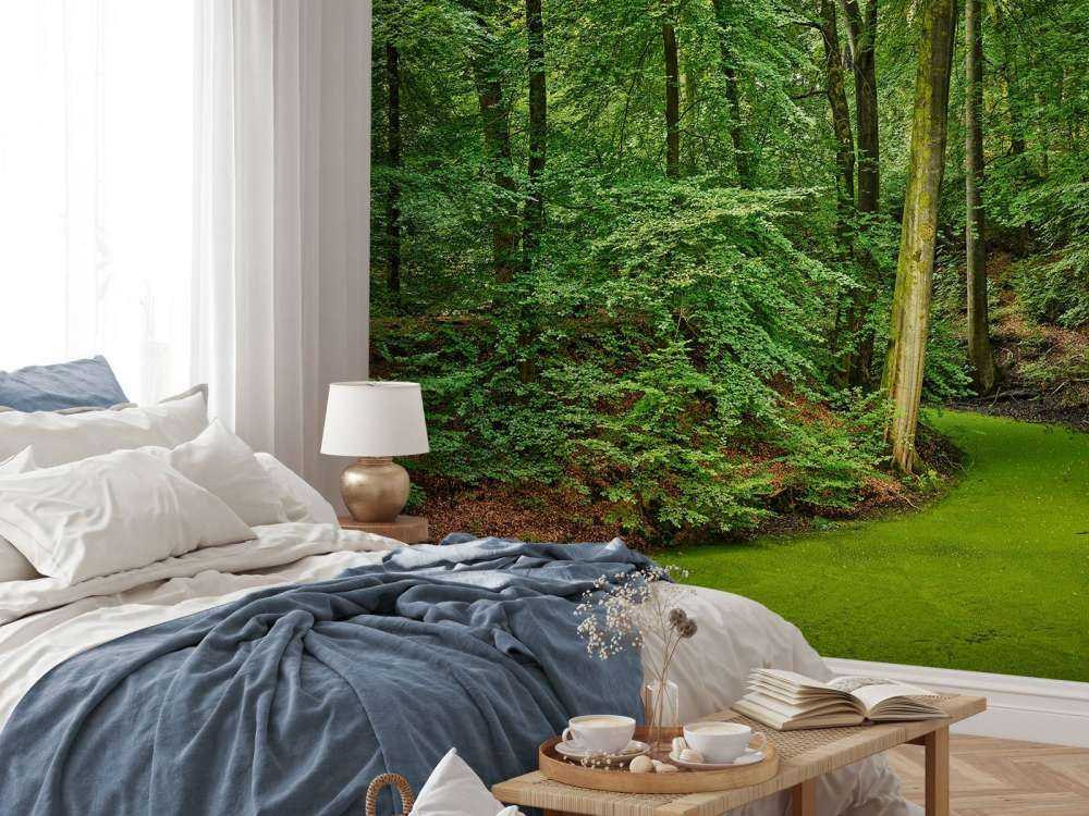 Ruisseau avec des lentilles d'eau dans les bois