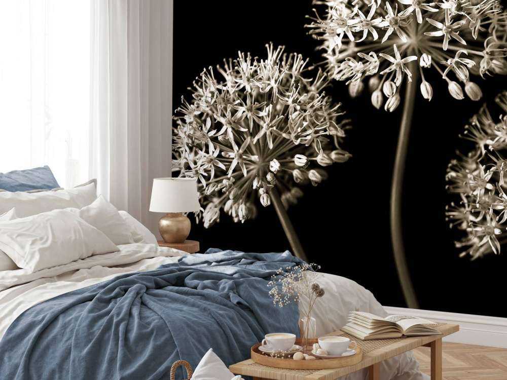 Trois alliums