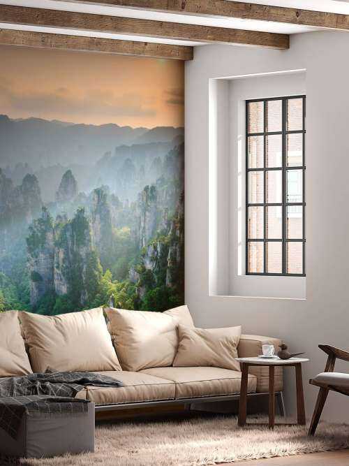 Jungle d'en haut