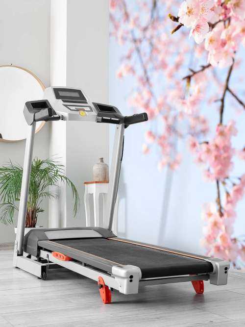 Fleurs japonaises