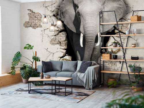L'éléphant en 3D depuis le mur