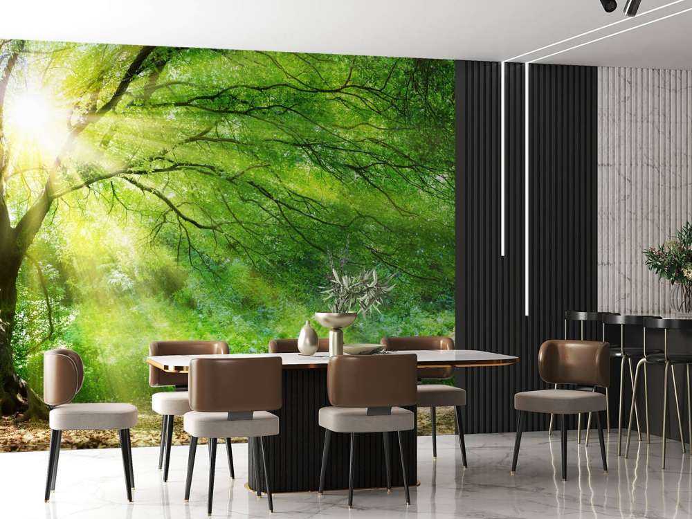 Grand arbre avec soleil