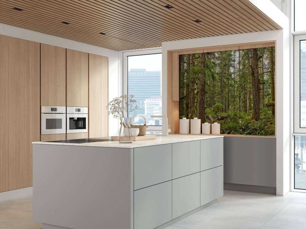 Forêt sauvage