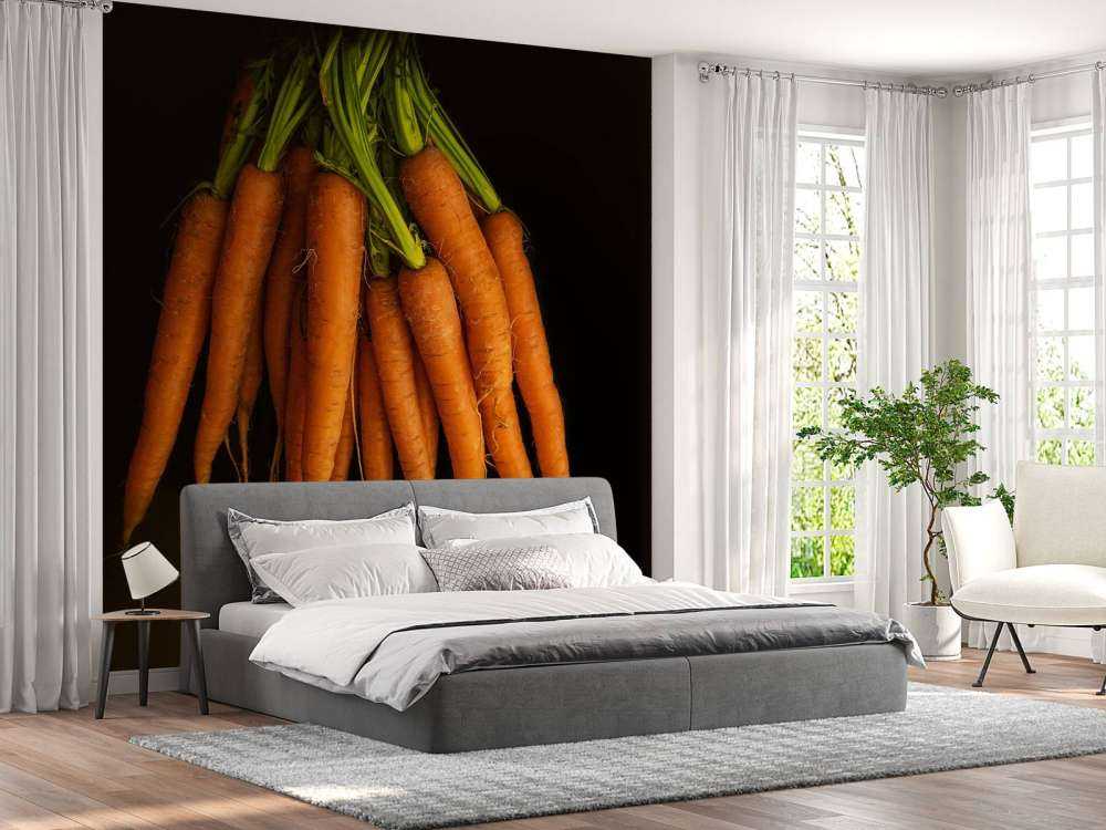 Racines d'orange