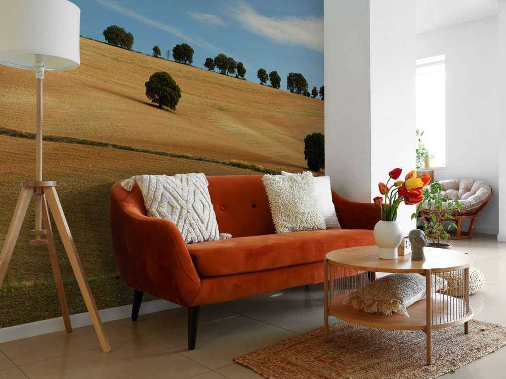 Les arbres dans le paysage espagnol