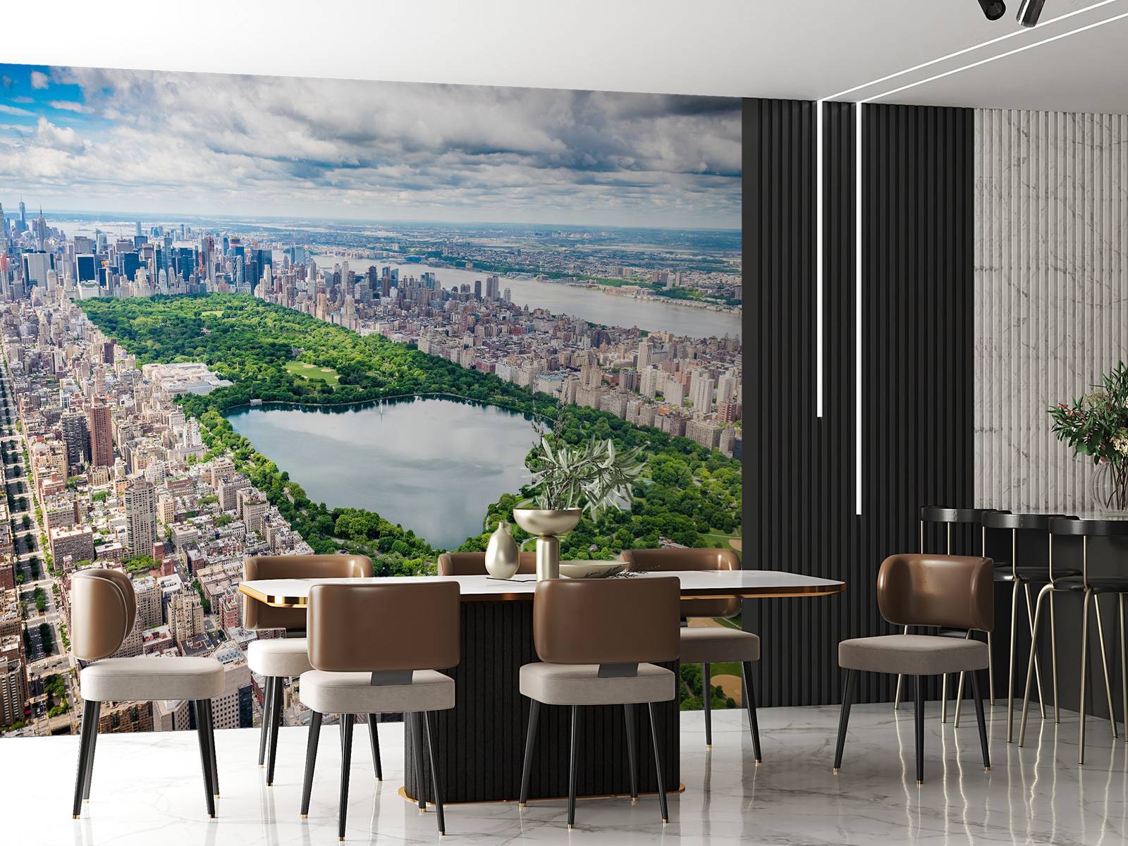 Skyline avec Central Park