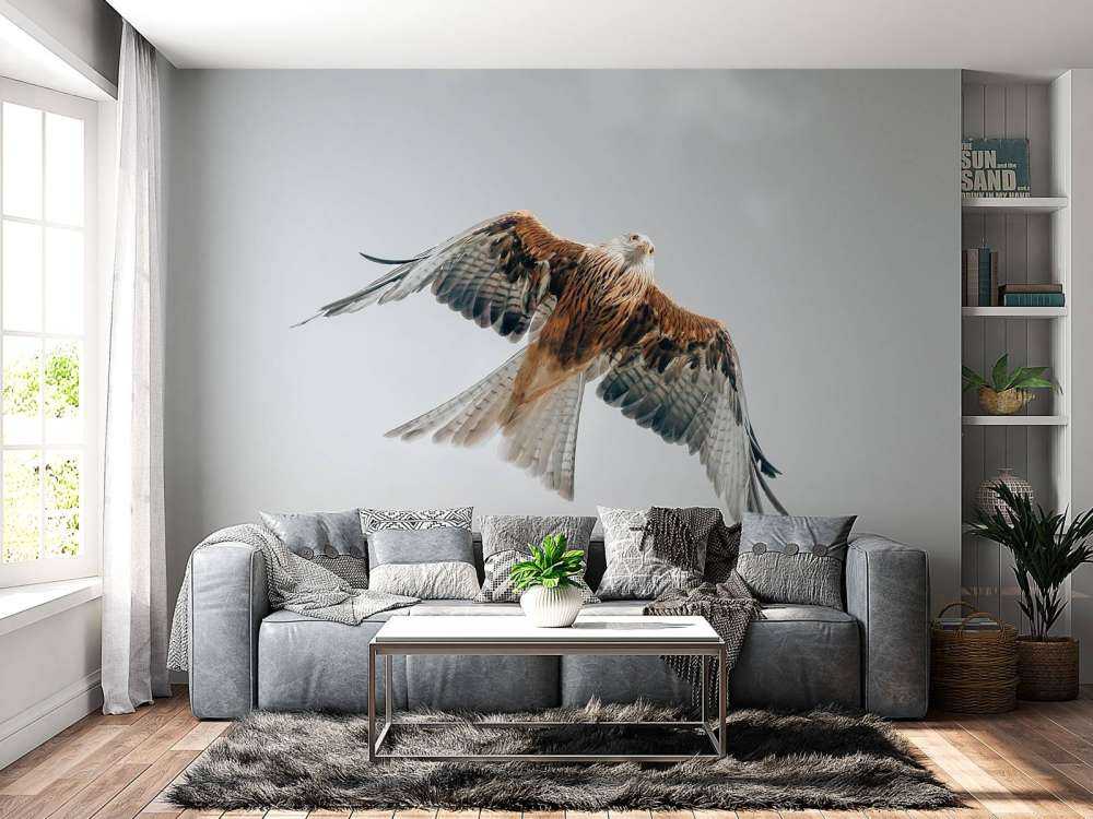 Cerf-volant rouge dans le ciel