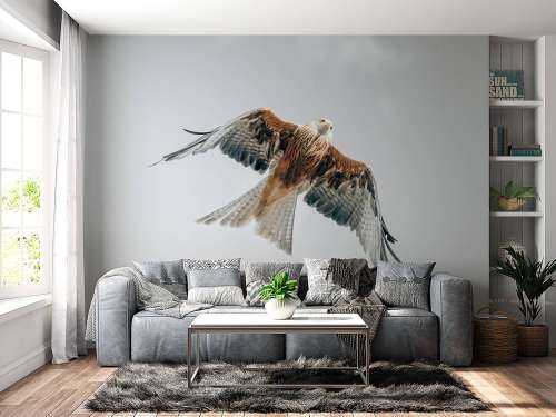 Cerf-volant rouge dans le ciel