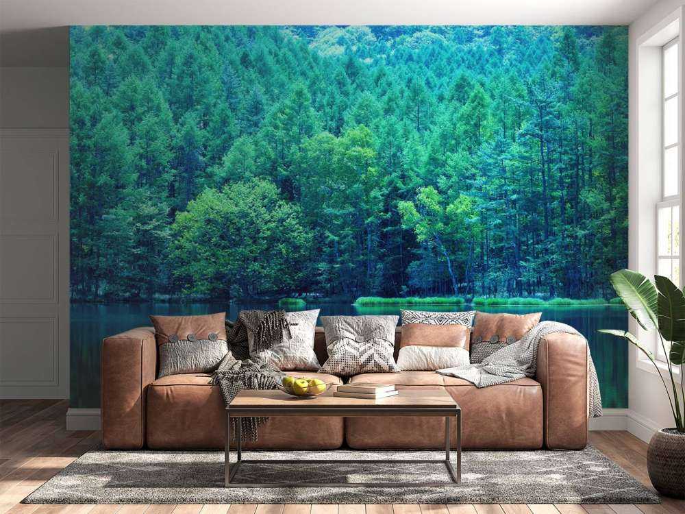 Lac dans une forêt verte