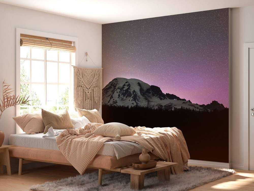 Mont Rainier avec aurores boréales