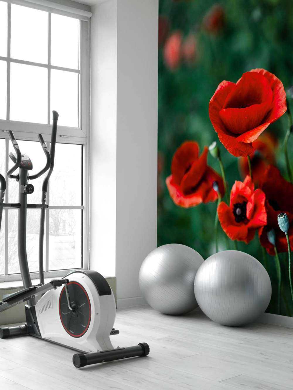Coquelicots et herbe
