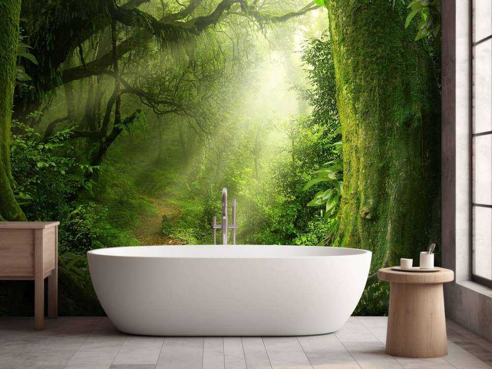 Jungle avec des rayons de soleil