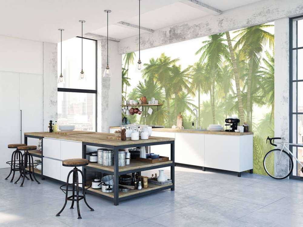 La jungle brumeuse