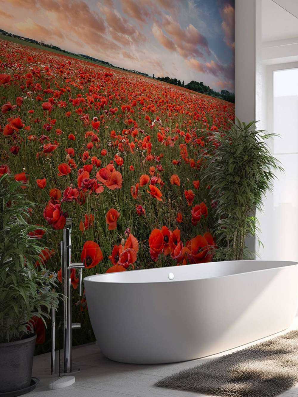 Poppy field in Sweden