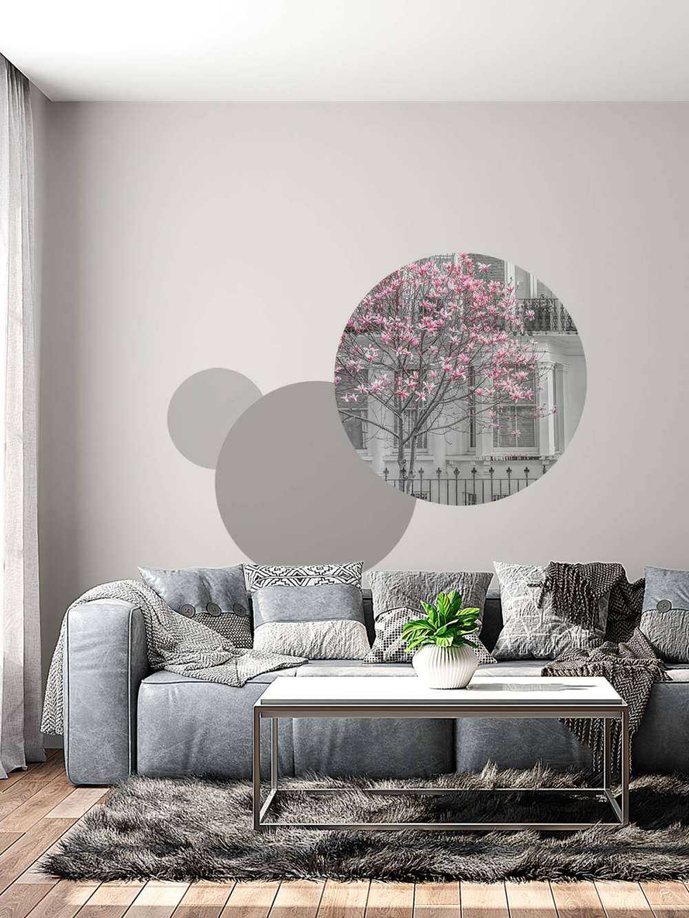 Magnolia en fleurs