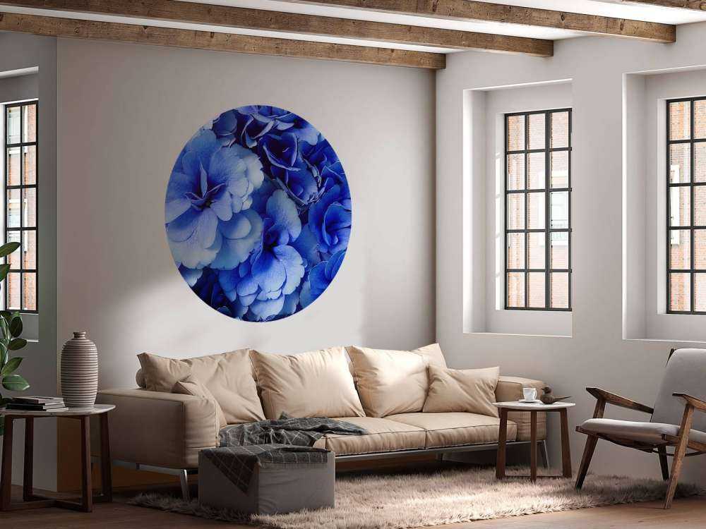 Gros plan sur des hortensias bleus