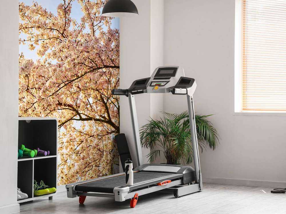 Une branche en fleur