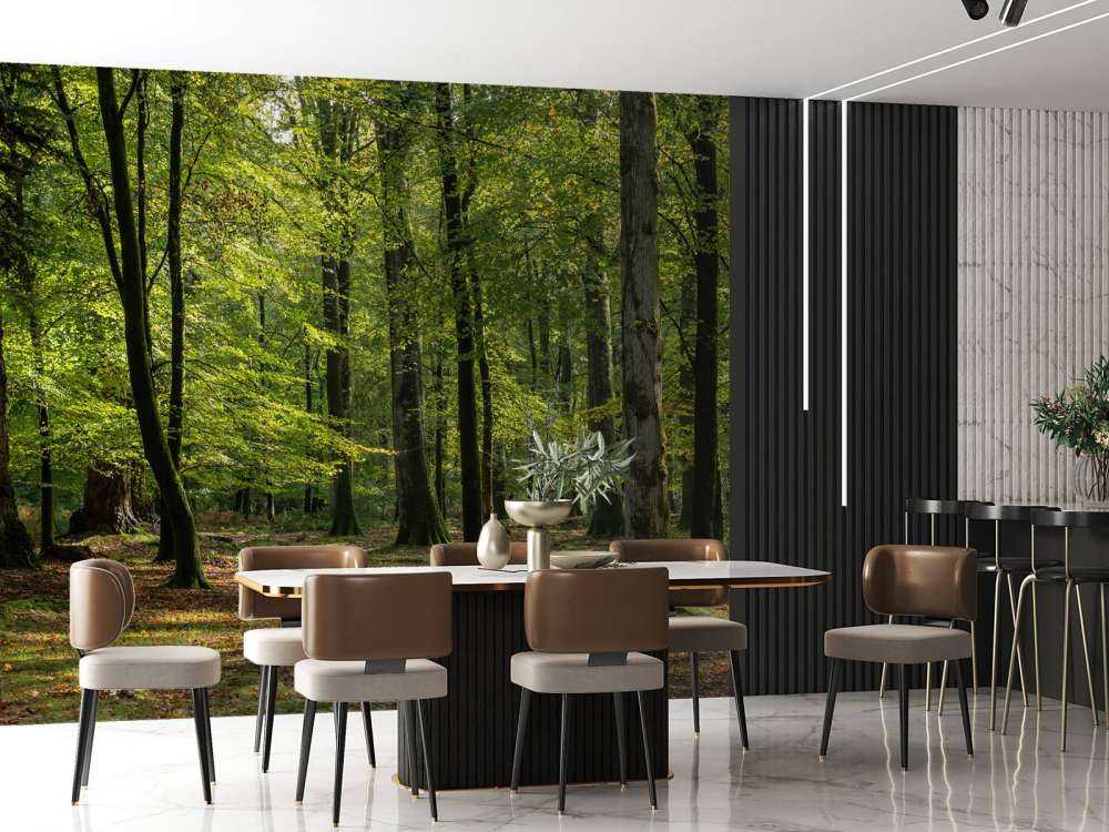 Promenade en forêt