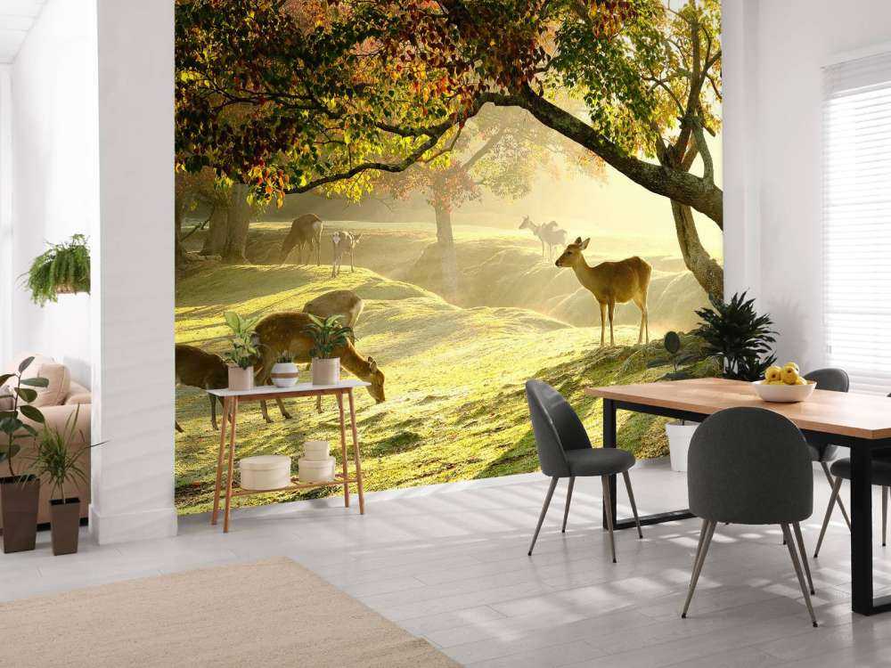 Cerfs à la campagne