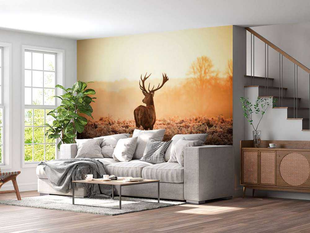 Cerf au lever du soleil