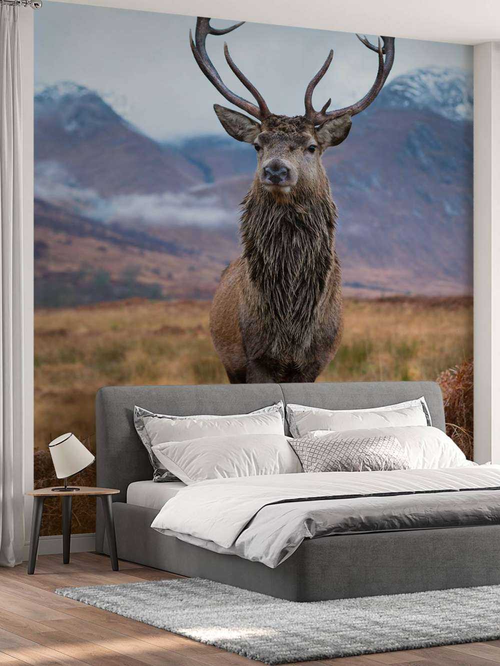 Cerf dans les montagnes