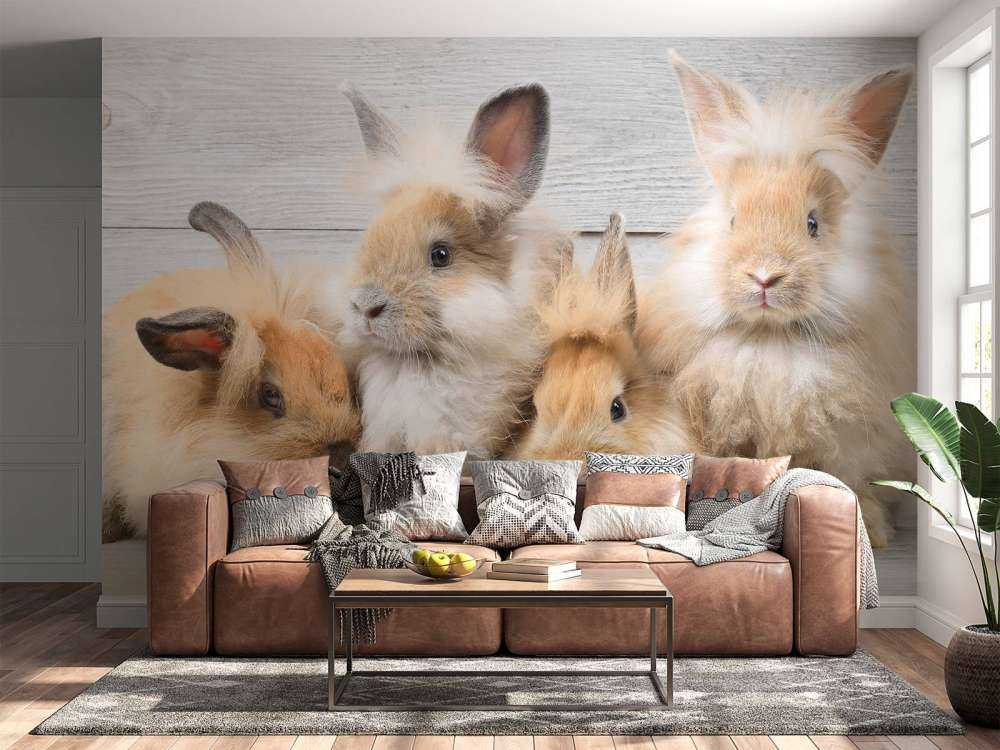 Petits lapins