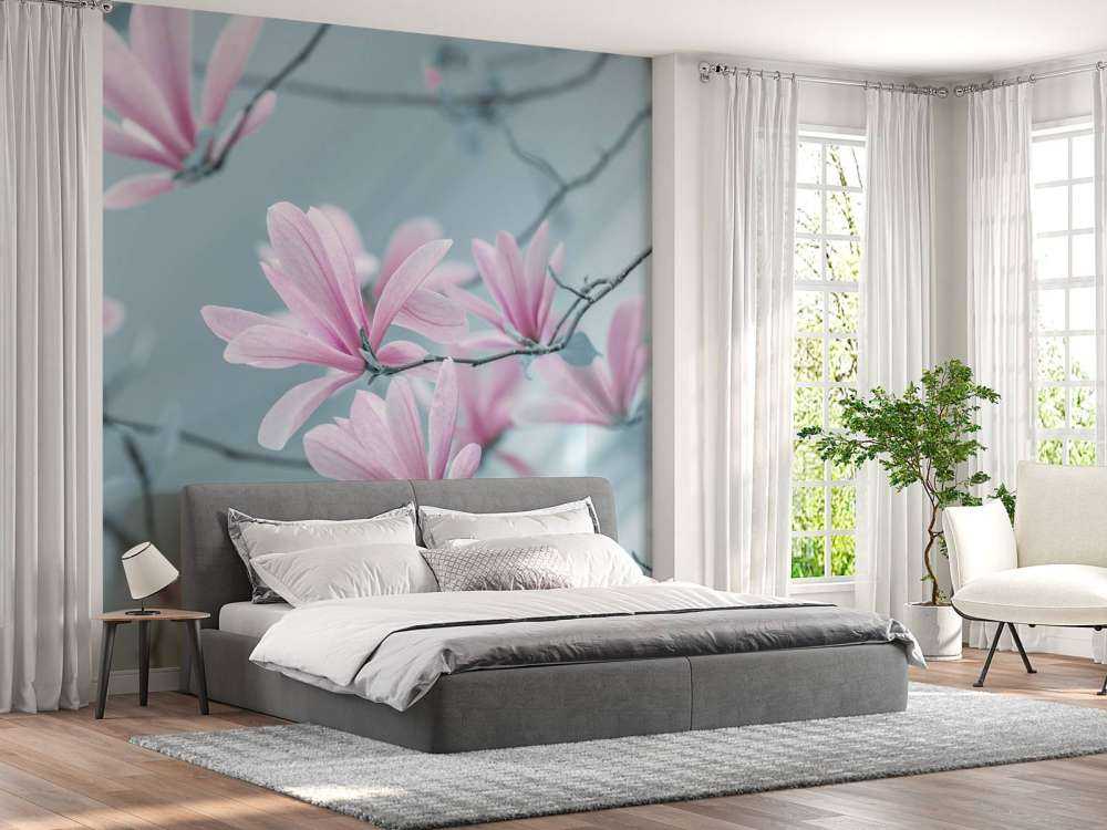Fleurs de magnolia