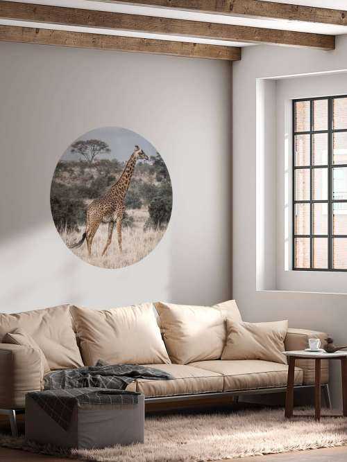 Portrait de girafe
