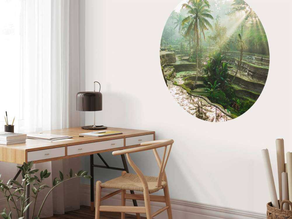 Des rizières dans la jungle