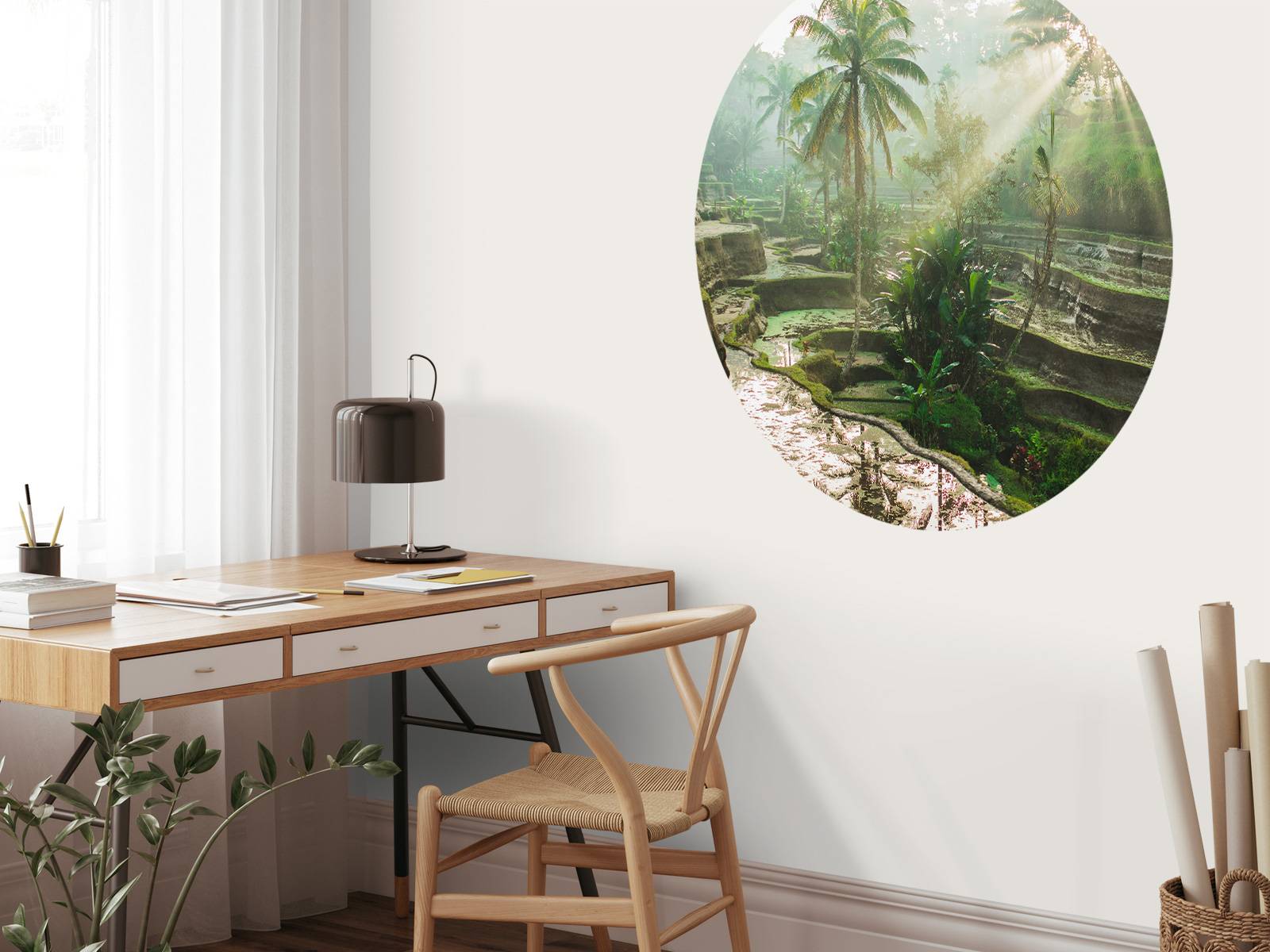 Des rizières dans la jungle