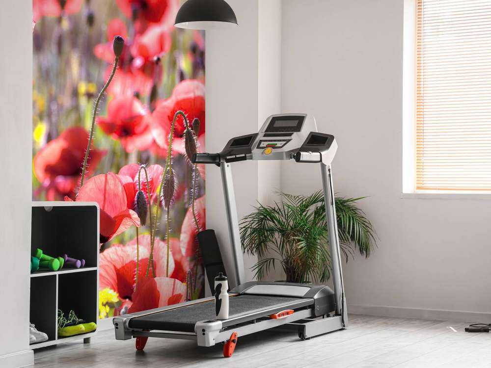 Des coquelicots au look vintage