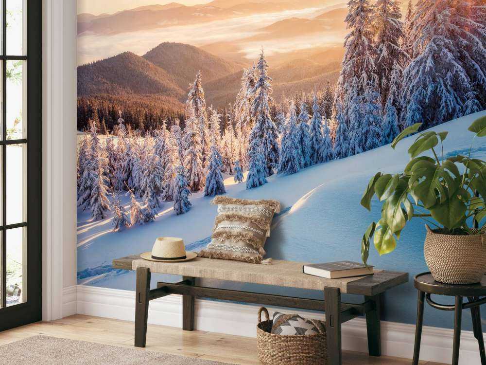Matin d'hiver dans les montagnes