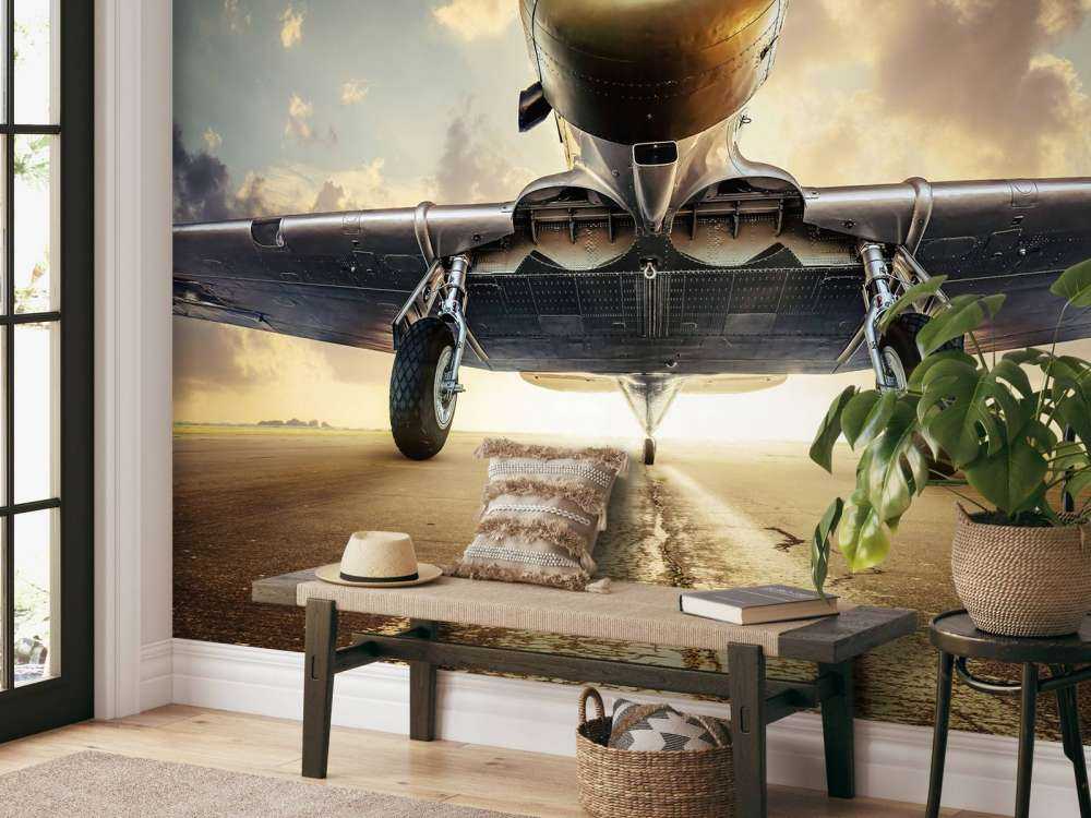 Avion historique