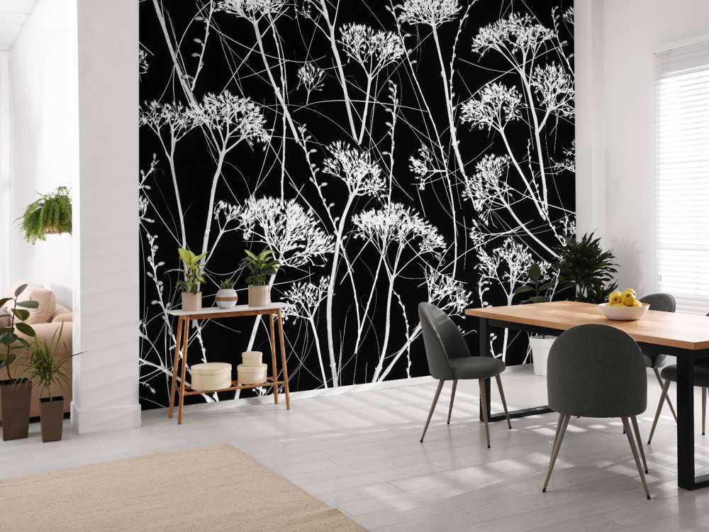 Silhouette de plantes séchées