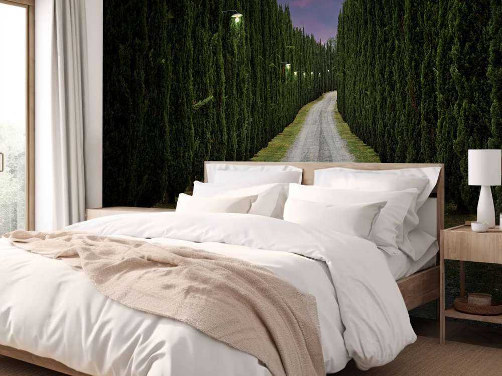 Cyprès le soir