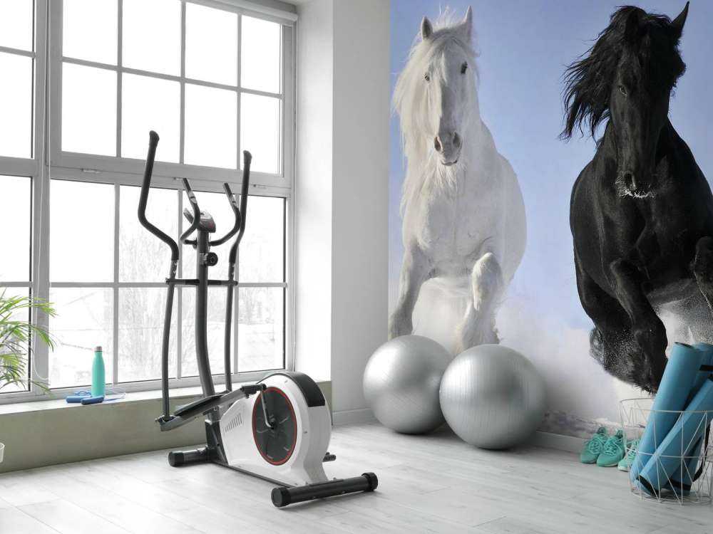 Cheval blanc et noir