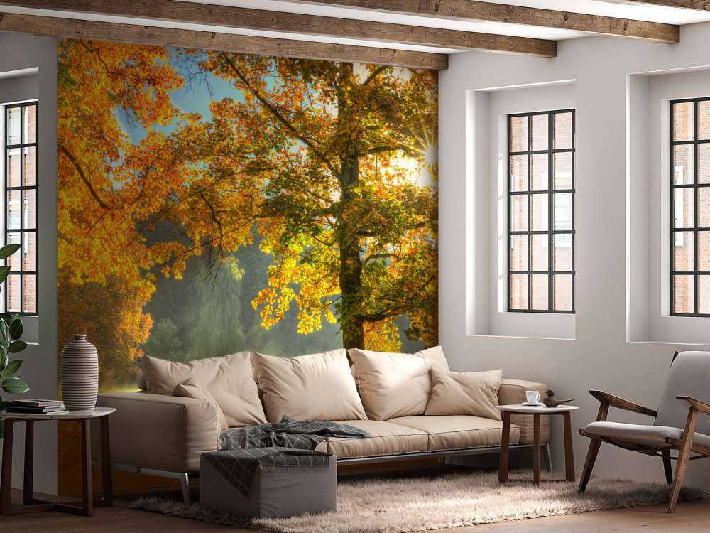 Arbre aux couleurs de l'automne