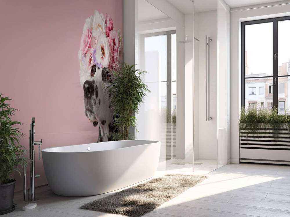 Dalmatien avec des fleurs colorées