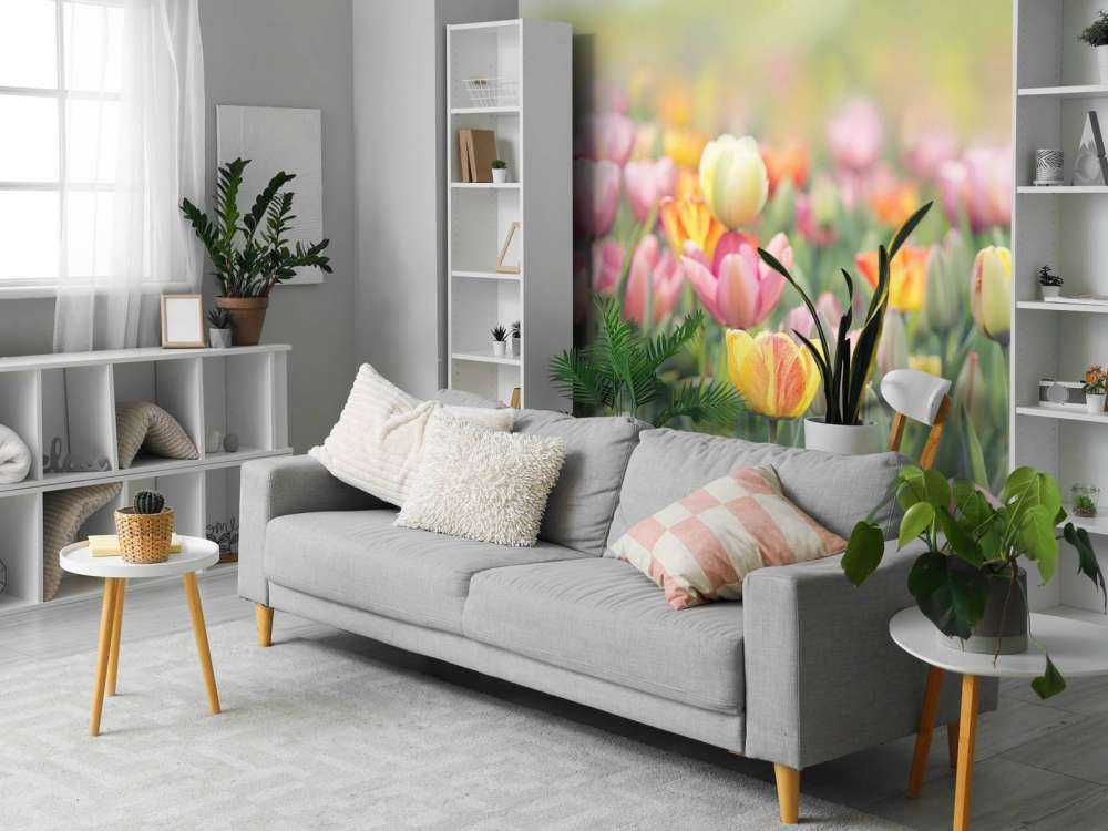 Des tulipes colorées