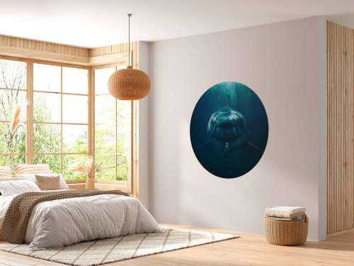 Un grand requin