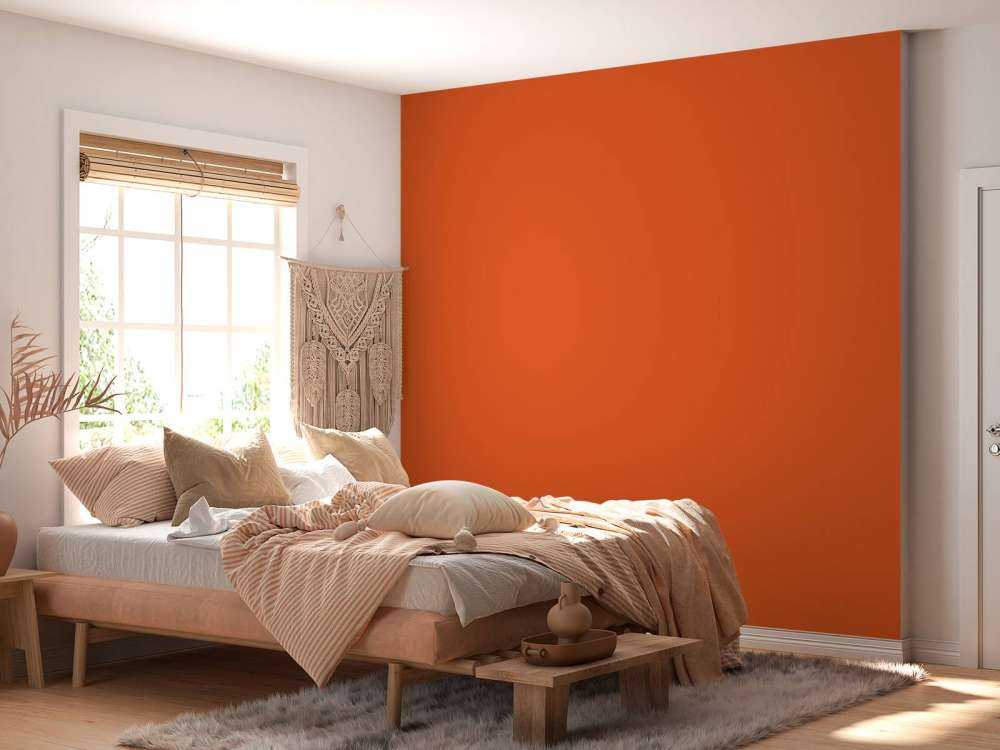 Orange citrouille